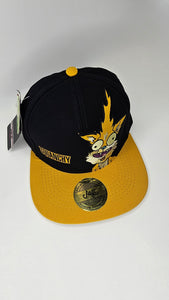 Gorra de Squanchy